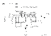 Sun-Hydraulics-FQCA-XAN