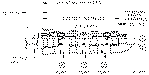 Sun-Hydraulics-FSBA-XAV