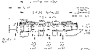 Sun-Hydraulics-FSCS-XAN/AP