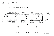 Sun-Hydraulics-FSDC-XAV