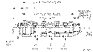 Sun-Hydraulics-FSDH-XAN