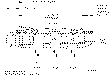 Sun-Hydraulics-FSDR-XAV