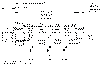 Sun-Hydraulics-FSEG-XAN
