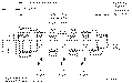 Sun-Hydraulics-FSER-XAN