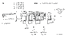 Sun-Hydraulics-FVCA-LIN