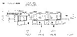 Sun-Hydraulics-LHDT-XEV