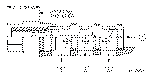 Sun-Hydraulics-LHJA-XFV