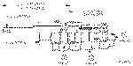Sun-Hydraulics-LKDC-XDV