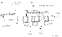 Sun-Hydraulics-LOFO-XDV