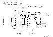 Sun-Hydraulics-LRHC-XHN