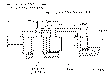 Sun-Hydraulics-LRJA-XDN