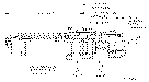 Sun-Hydraulics-MBGB-LJN