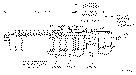 Sun-Hydraulics-MWGG-LJV