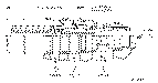 Sun-Hydraulics-MWGA-XKN