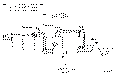 Sun-Hydraulics-NCGC-KCV