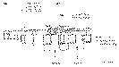 Sun-Hydraulics-PBDF-8DN