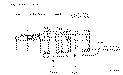 Sun-Hydraulics-PBHC-BBN-HBP