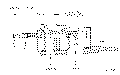 Sun-Hydraulics-PBJC-BBN