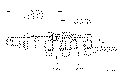 Sun-Hydraulics-PPDB-KON