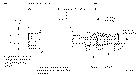 Sun-Hydraulics-PRDP-LDV-4A12A
