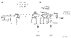 Sun-Hydraulics-PRFR-KEN