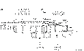 Sun-Hydraulics-QPAA-KBN