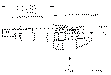 Sun-Hydraulics-RQCB-LWN