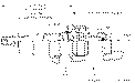Sun-Hydraulics-RVGS-KCV