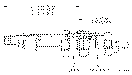 Sun-Hydraulics-SXCA-LAN