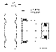 Sun-Hydraulics-XACA-EXV